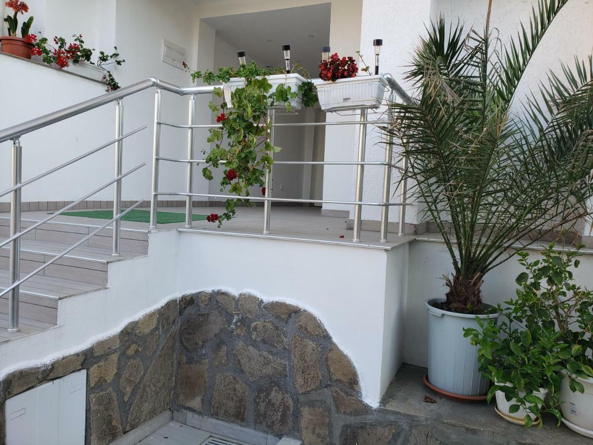Guest House Evtimov 프리모르스코 외부 사진